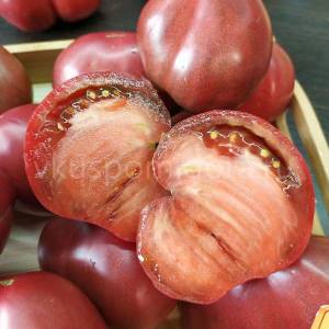 semena-sorta-tomata-Gnom-Purpurnoe-serdce-Dwarf-Purple-Heart-2.thumb.jpg.64ac6982c38c058049cbf67b733e5111.jpg