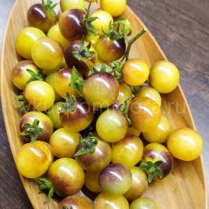 semena-tomata-sorta-Golubye-kremovye-yagody-Blue-cream-berries-cherri-2-900x900.thumb.jpg.3b727e1b167fd2b9415f02ca3ef5fc5b.jpg