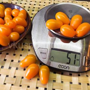 tomat-apelsinovaya-grusha-3-900x900.thumb.jpg.93840c332bdbddd47f6bfdd0357bdba1.jpg