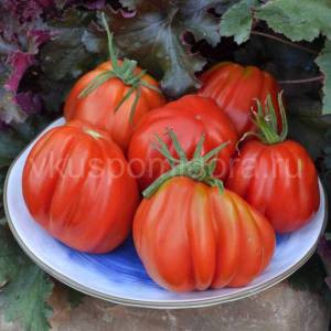 tomat-drevnee-serdce-pianfej-5-900x900.thumb.jpg.934b33cc9447ecd08d505a7d61662f02.jpg