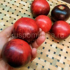 tomat-zolotoe-yabloko-svyatogo-zhana-de-boregarda-1-900x900.thumb.jpg.662c4a71d335b1576f39bd5358f81cb1.jpg