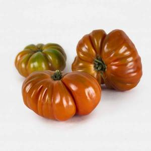 tomate-valenciano-ecologico.thumb.jpg.089b486d420a069b6953e32568dce298.jpg