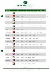 Wholesale Price List (EU) - Shipping Fall Season 2023 (3) (1)_page-0006.jpg