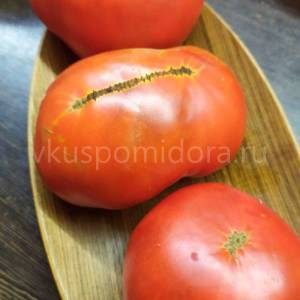 1665614201_semena-sorta-tomata-Gnom-Priz-Hanny-Dwarf-Hannahs-Prize-2-900x900.thumb.jpg.807a3a45eb675b27103713d7d000374c.jpg