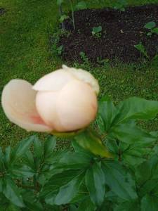 1973414629_4.thumb.jpg.fcc685d52fde9f9a59a6ac76bd27c7e8.jpg