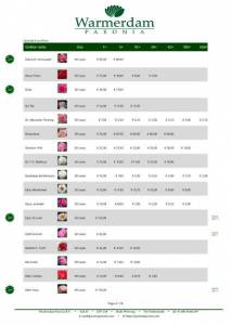 Wholesale Price List (EU) - Shipping Fall Season 2023 (3) (1)-3.jpg