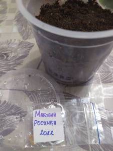 IMG-20230203-WA0000.jpg