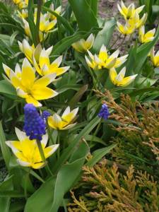 IMG-20230217-WA0014.jpg