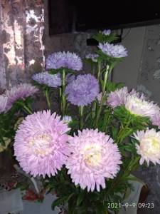 IMG_20210909_092341.jpg