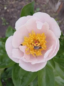 IMG_20220613_083007.jpg