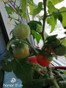 IMG_20230222_090031.jpg