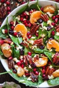 holiday-salad-1.thumb.jpg.cb90866a5d0a5954b4528a1fcb2e62af.jpg