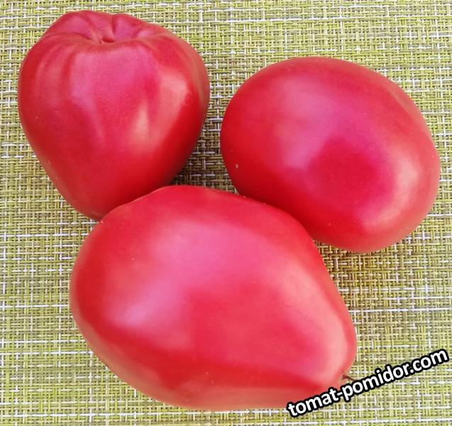 Итальянские Сердечки (усл).jpg