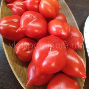 semena-tomata-sorta-Gora-Vezuvij-Mountain-Vesuvius-2-900x900.thumb.jpg.3e69a9820d39d85ae602d66aad508c11.jpg