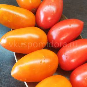 semena-tomata-sorta-Lisichka-2-900x900.thumb.jpg.b0dcd00eced1b6efd0cf5fcb3dade5b4.jpg