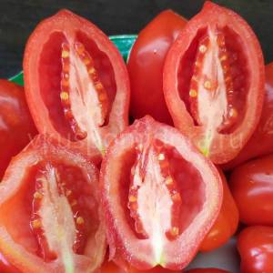 semena-tomata-sorta-San-Marcano-San-Marzano-4-900x900.thumb.jpg.a437d7e6dcdd527fad9fe3cf283fc1cd.jpg