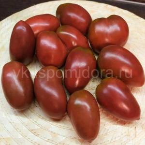tomat-gnom-almandin-1-900x900.thumb.jpg.bc273edf81c15abeea252de2974a99d2.jpg