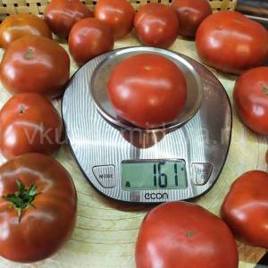 tomat-gnom-smekh-kukabarry-5-900x900.thumb.jpg.0f9a5321cb95d0c3d5d343d277d5fc3d.jpg