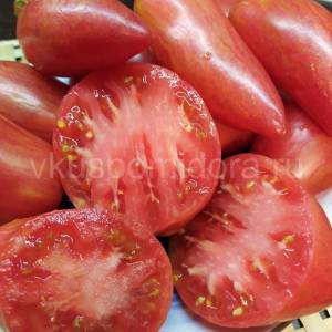 tomat-ledi-madonna-5-900x900.thumb.jpg.66859e4874e9053fcc22ac41dfe8276c.jpg