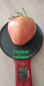 сердце сибири.jpg