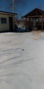 2112270264__2023-03-27_122440749.thumb.png.531ccc319ca9db11b93c67e41f4a66c4.png