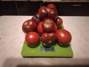 IMG_20220903_011531.thumb.jpg.c103870dd7338257a4ebe8dd175b0c70.jpg