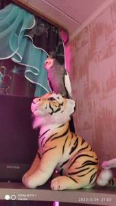 IMG_20230325_210315.jpg