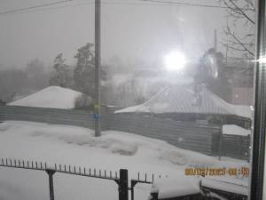 IMG_7172.thumb.JPG.9cf4466a39ca3eb9fad54e86b05f20ff.JPG