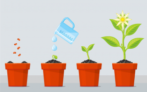 Plant-growth-illustration-2.thumb.png.f29c53448e9cbf2f74a32d6e3fa15801.png