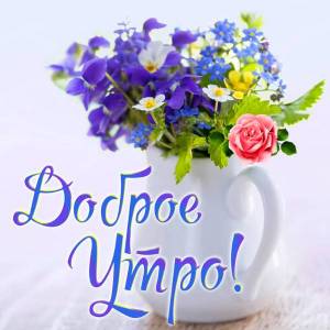 dobroe-utro-vesna.jpg