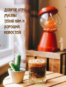 malinkakat_ru_10645.jpg