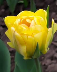 IMG20230424155805~2.jpg