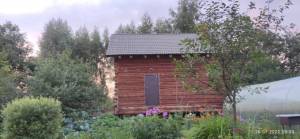 IMG_20220726_203048.jpg