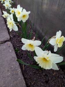 IMG_20230420_191708.jpg