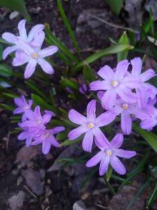 IMG_20230420_200311.jpg