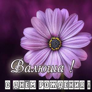 kartinka-valusha-s-dnem-rozhdeniya.thumb.jpg.5069fb2109dbaddd4323dffc812a109a.jpg