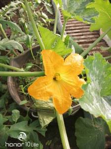 0_IMG_20230517_072055.thumb.jpg.946d246a03dcb826a94199420badce2c.jpg