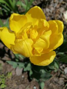 IMG_20230509_120525_compress39.jpg