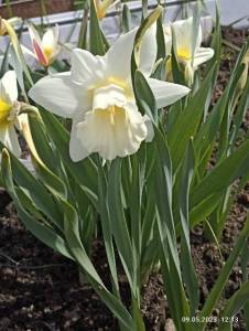 IMG_20230509_121350.jpg