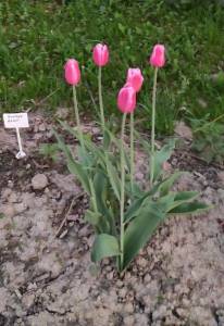 IMG_20230519_151624.jpg