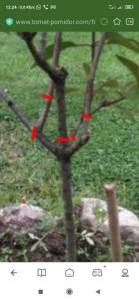 Screenshot_2022-09-12-12-24-08-436_com.mi.globalbrowser.jpg