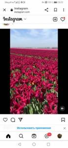 Screenshot_20230508_035203_com.android.chrome.jpg