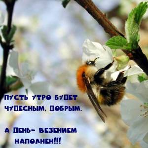 imagename_ru_21345.jpg