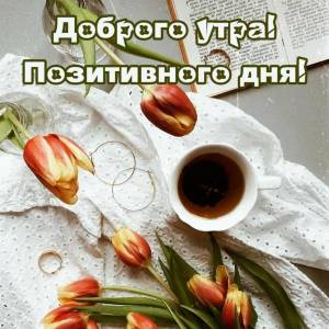 malinkakat_ru_1556.jpg