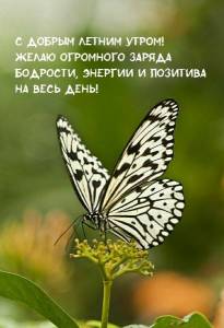 dobrogoutra_ru_9271 (1).jpg