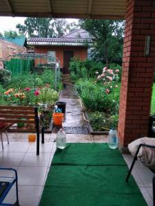 IMG-20230626-WA0003.jpeg