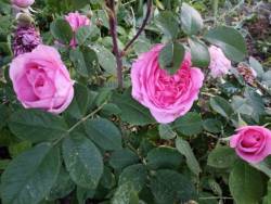 IMG_20230617_202418.jpg