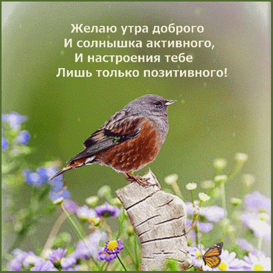 textopics_ru_38478.gif