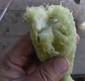 5.thumb.JPG.f2bf76cb3daf76dd924b8b1edae70097.JPG