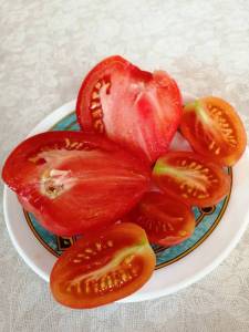 IMG_20230713_165338_compress47.jpg